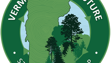 Vermont Forest Future Strategic Roadmap